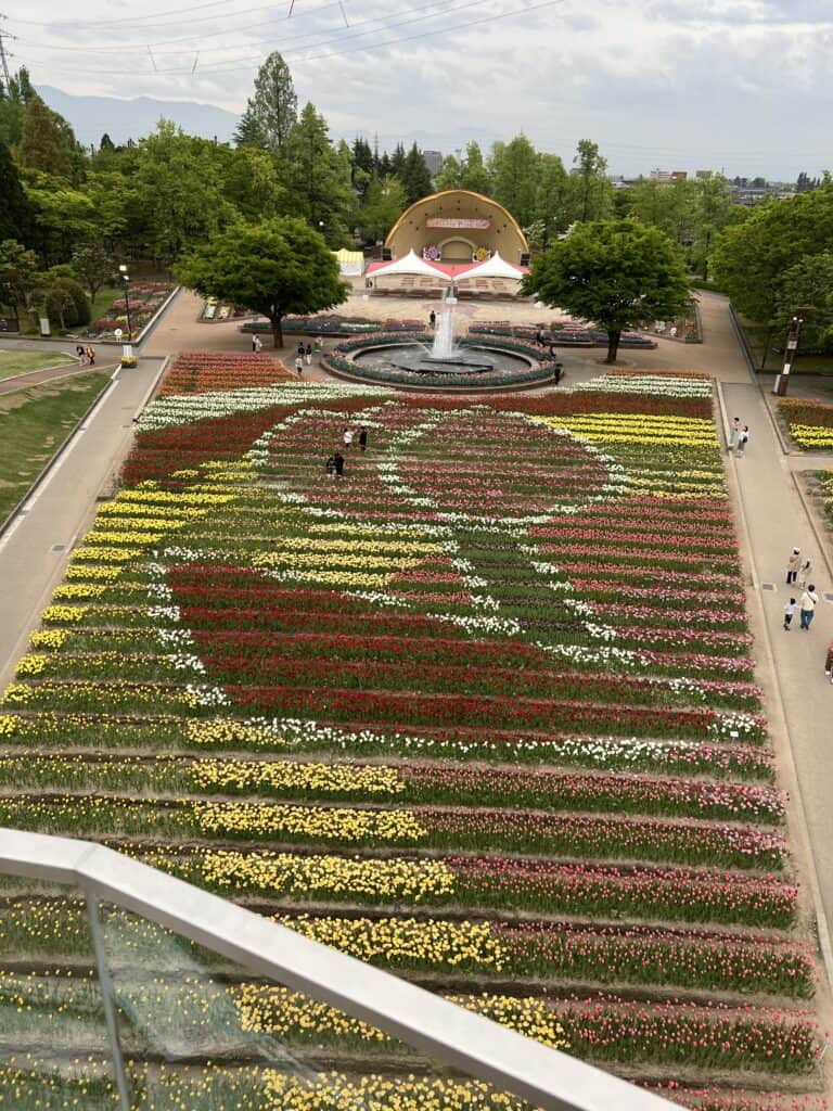 Tonami Tulip Park 2023 Arial View