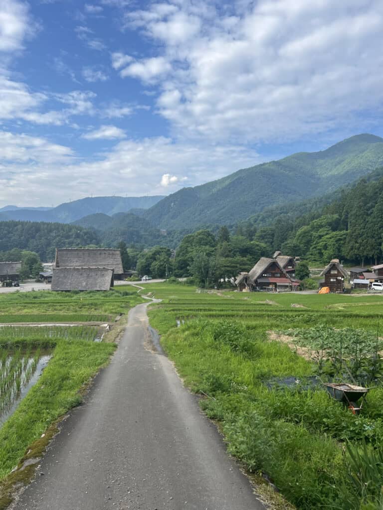 Traditional Japanese village with thatched houses and rice fields, Shirakawa, Gifu Prefecture, Japan.