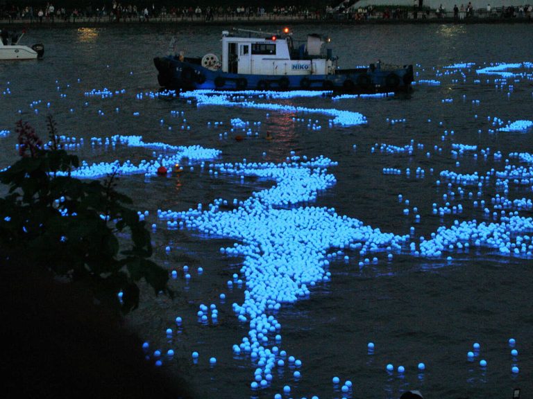 Toyama bay firefly squid glowing